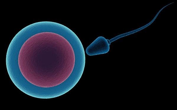 bifa必发·(中国集团)唯一官方网站